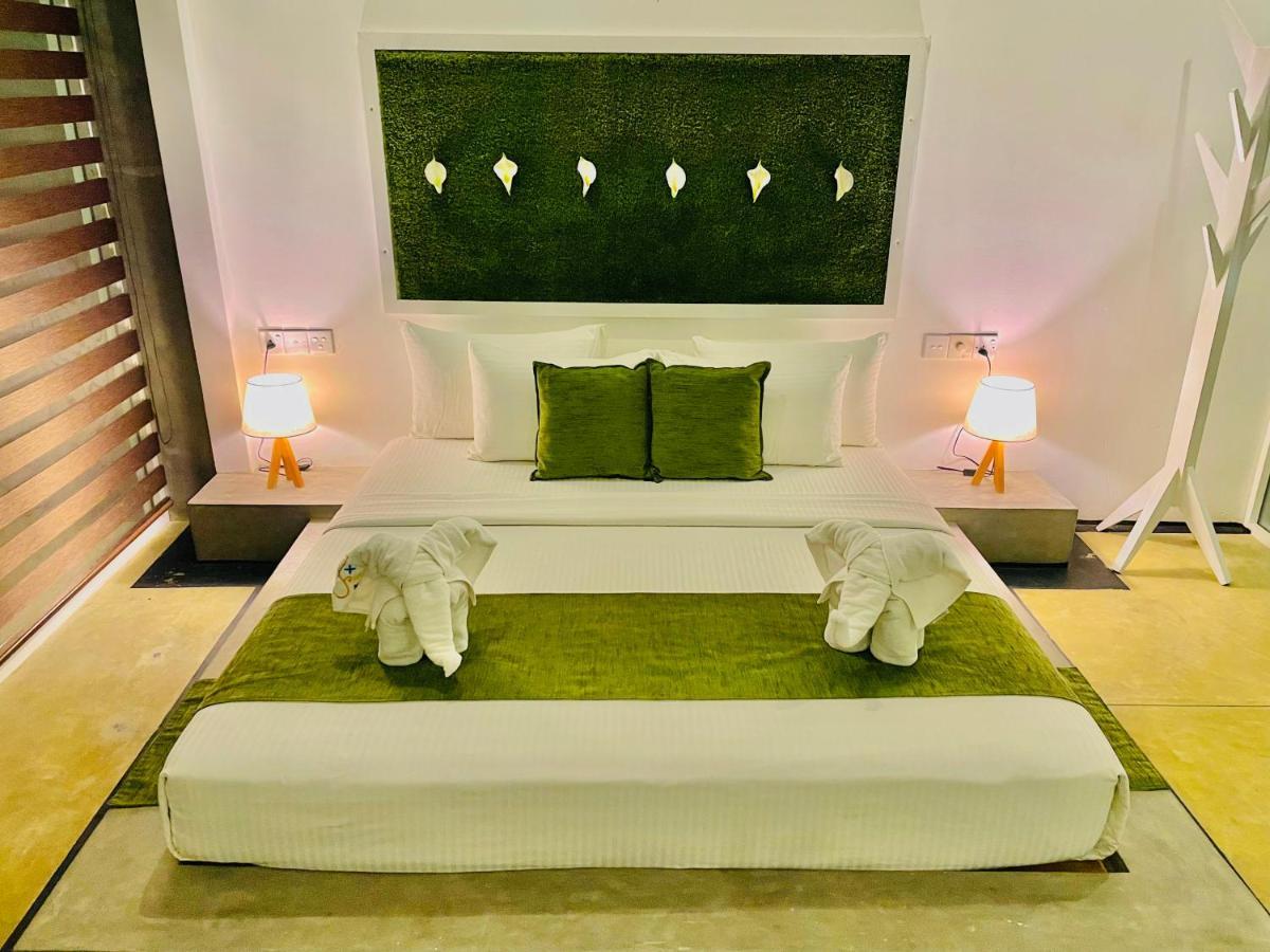 8 Plus Motels نيجومبو المظهر الخارجي الصورة