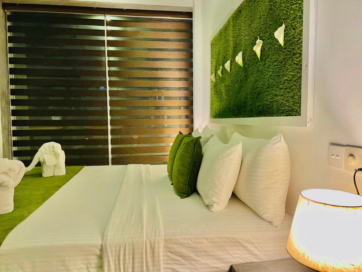 8 Plus Motels نيجومبو المظهر الخارجي الصورة